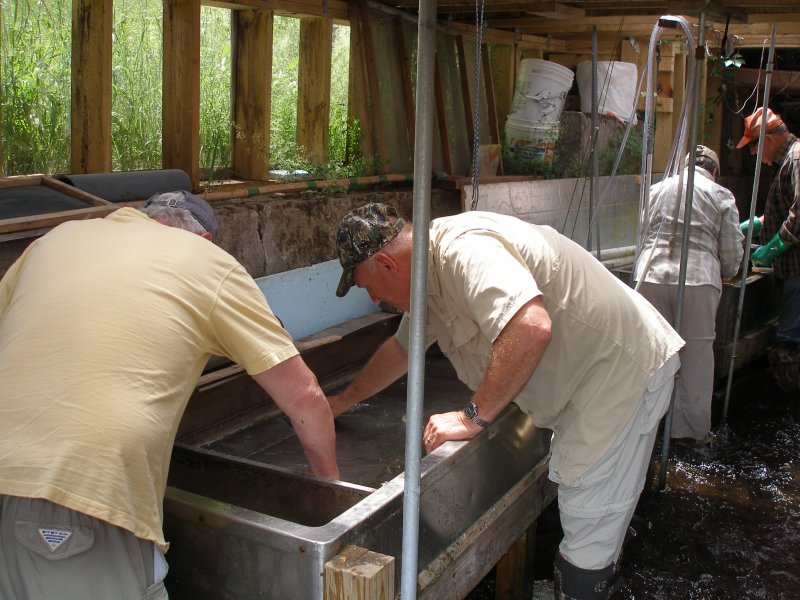 cleaning the tanks